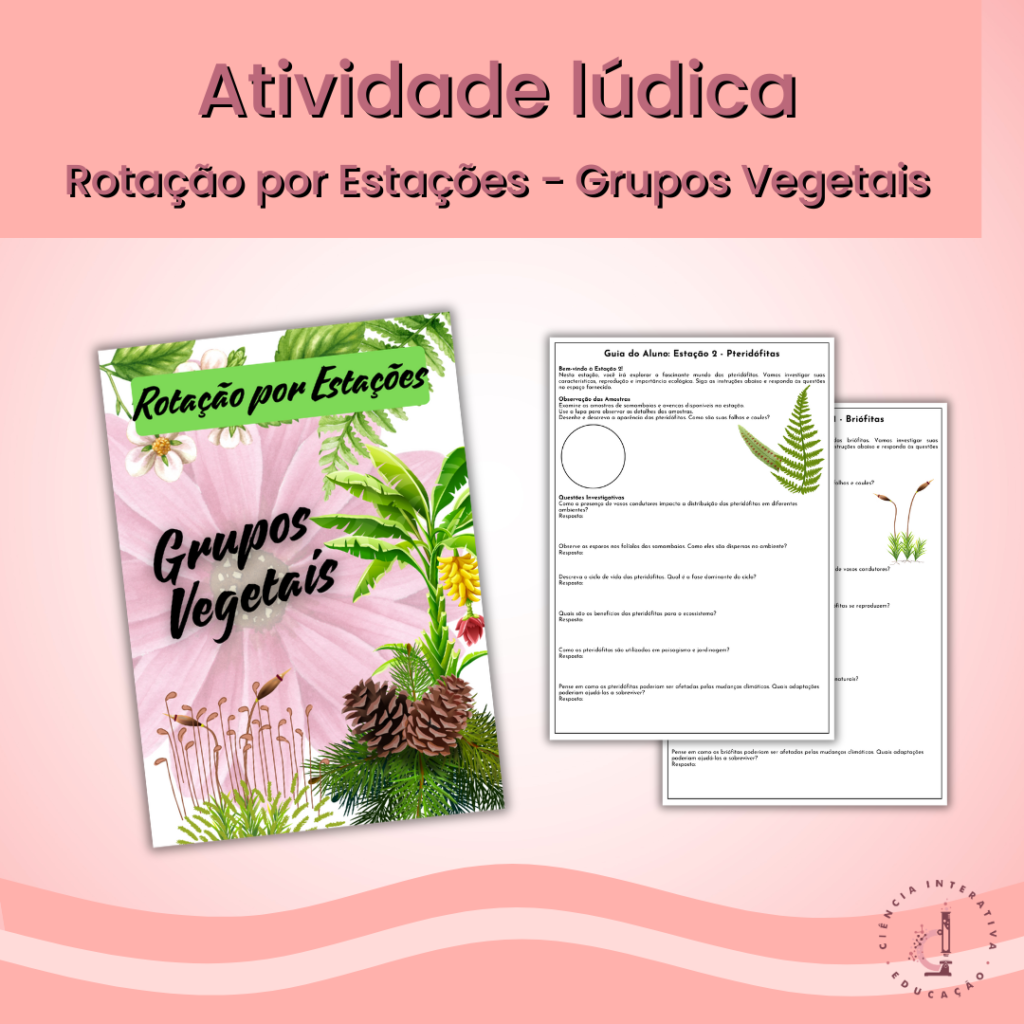 Rotação por Estações Grupos Vegetais Ciência Interativa