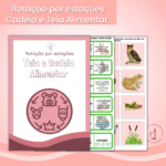 Rotação por estações Cadeia e Teia Alimentar