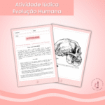 Evolução humana - medindo crânios