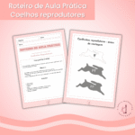 Coelhinhos reprodutores