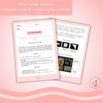 Fotossíntese e respiração celular