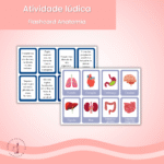 Flashcard - Anatomia