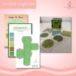 Design de blocos - anatomia vegetal