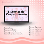 Combo Sistemas do Corpo Humano