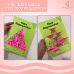 Triângulo dos Ciclos Biogeoquímicos