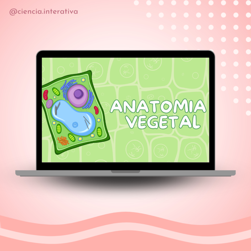 Anatomia Vegetal Ciência Interativa 5576