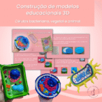 Criação de Modelos Educativos 3D: Célula Bacteriana, Célula Animal e Célula Vegetal