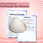 Acidificação dos oceanos