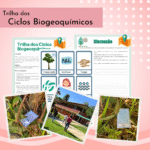 Trilha dos Ciclos biogeoquímicos