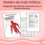 Integração do Sistema Locomotor com o Sistema Nervoso