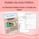 As Plantas Podem Parar a Erosão do Solo?