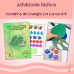 Caminho da Energia: Da Luz ao ATP