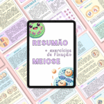 Resumão - Meiose (Ciclo/Divisão celular)