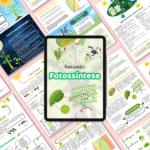 Resumão Fotossíntese