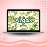 Slides - Algas
