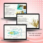 Slides - Algas - Imagem 2