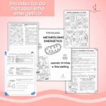 Introdução ao metabolismo energético com tirinhas