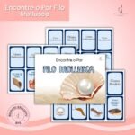 Atividade lúdica - Mollusca (Moluscos) Invertebrados