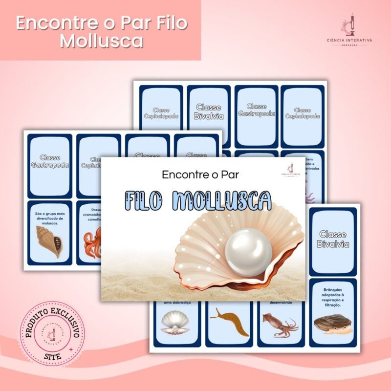 Atividade lúdica - Mollusca (Moluscos) Invertebrados - Imagem 1
