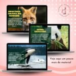 Slide - Mamíferos - Imagem 2