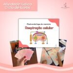 Atividade lúdica / Respiração celular / Ciclo de Krebs