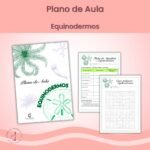 Plano de Aula: Equinodermos