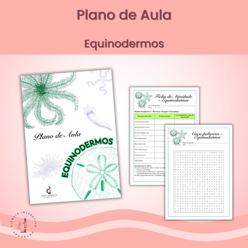 Plano de Aula: Equinodermos - Imagem 1