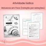Atividade Lúdica – Moluscos em Foco (rotação por estações)