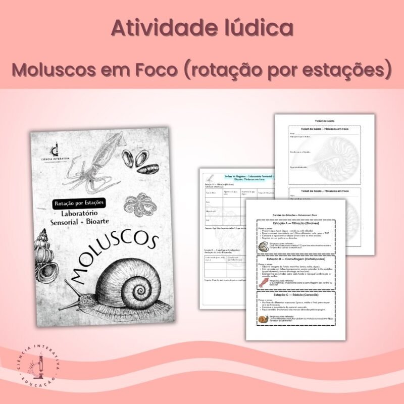 Atividade Lúdica – Moluscos em Foco (rotação por estações) - Imagem 1