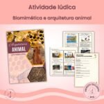 Arquiteto Animal x Arquiteto Humano (biomimética)