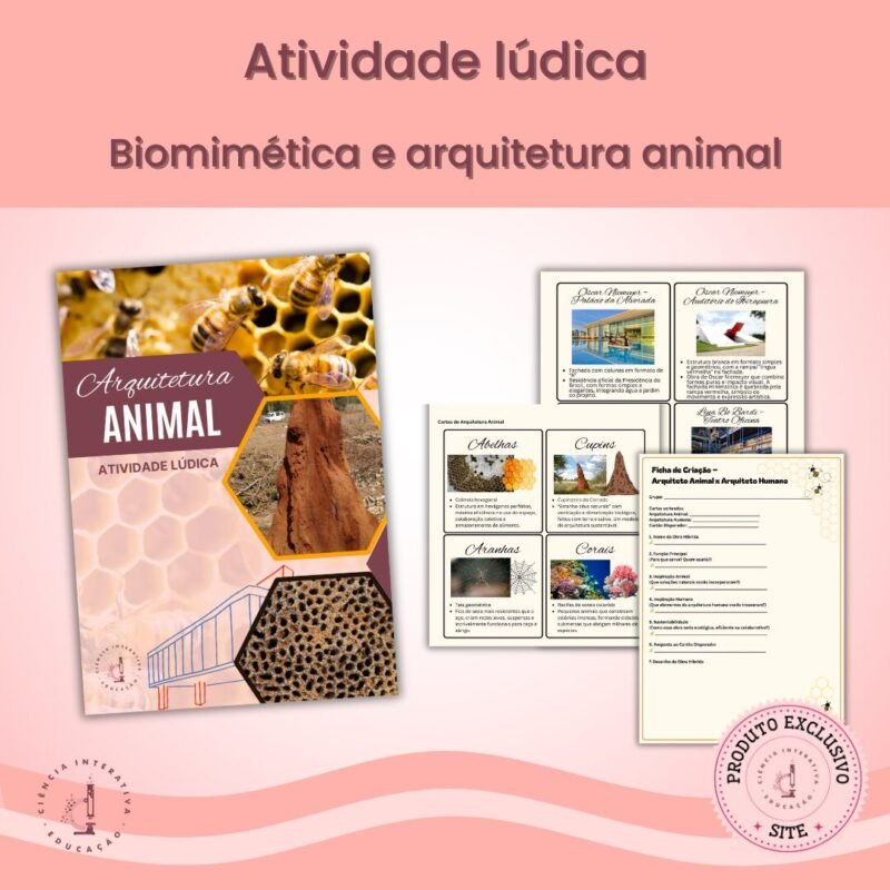 Arquiteto Animal x Arquiteto Humano (biomimética) - Imagem 1