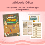 A Caça ao Tesouro da Fisiologia Comparada
