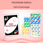 UNO - Embriologia