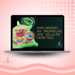 Organelas da Célula Vegetal (Estrutura, Função e Integração Celular)