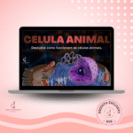 Célula Animal - Estrutura e Função das Organelas