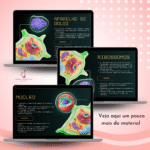 Organelas da Célula Vegetal (Estrutura, Função e Integração Celular) - Imagem 2