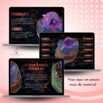 Célula Animal - Estrutura e Função das Organelas - Imagem 2