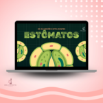 Estômatos – Estrutura, Funcionamento e Regulação