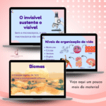 Slides - Escalas da Vida - Imagem 2