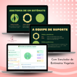 Estômatos – Estrutura, Funcionamento e Regulação - Imagem 2