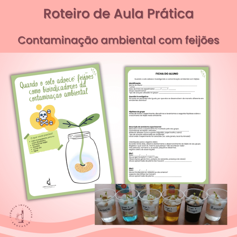 Quando o solo adoece: feijões como bioindicadores da contaminação ambiental