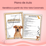 Genética a partir do Vira-lata Caramelo