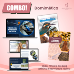 Combo Biomimética: Tecnologia Inspirada na Natureza