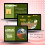 Slides - Ciclo do carbono e mudanças climáticas - Imagem 2