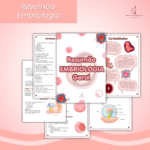 Resumão - Embriologia Básica