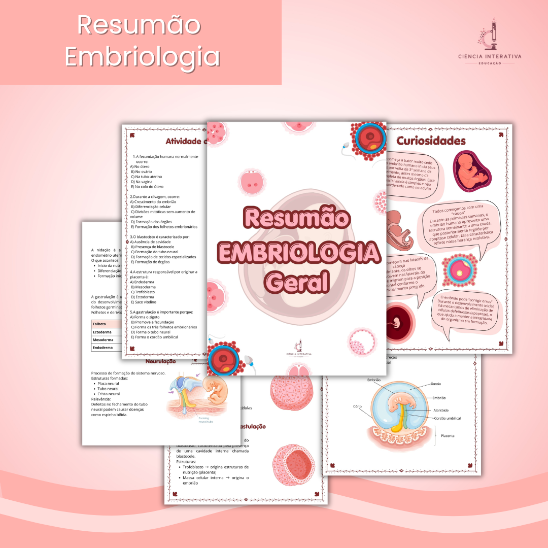 template slides site-67 Resumão - Embriologia Básica - Imagem 1