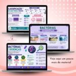 Slides - Bactérias - Imagem 2