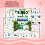 Bingo das interações do ecossistema