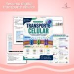 Recurso Digital - Transporte por membranas