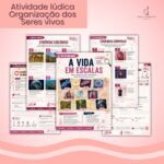 Atividade lúdica - Organização dos seres vivos